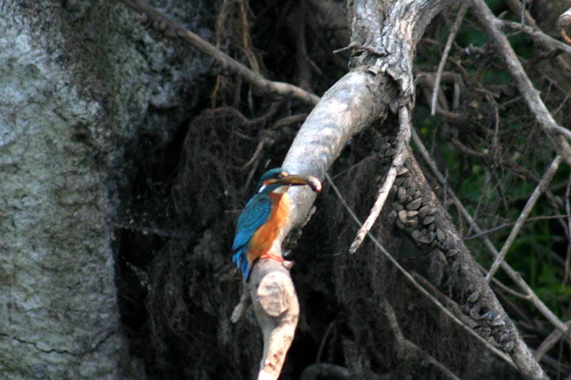 Killikus&reg; Fotographie